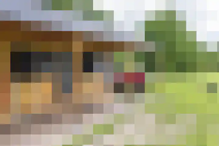 Kaleweg 9 Opende thumbnail 91