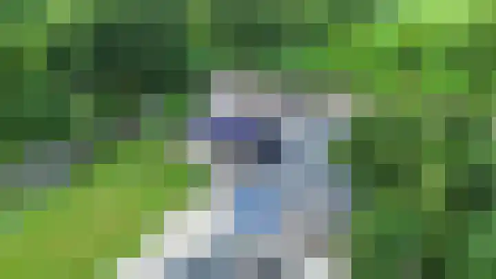 Kaleweg 9 Opende thumbnail 98