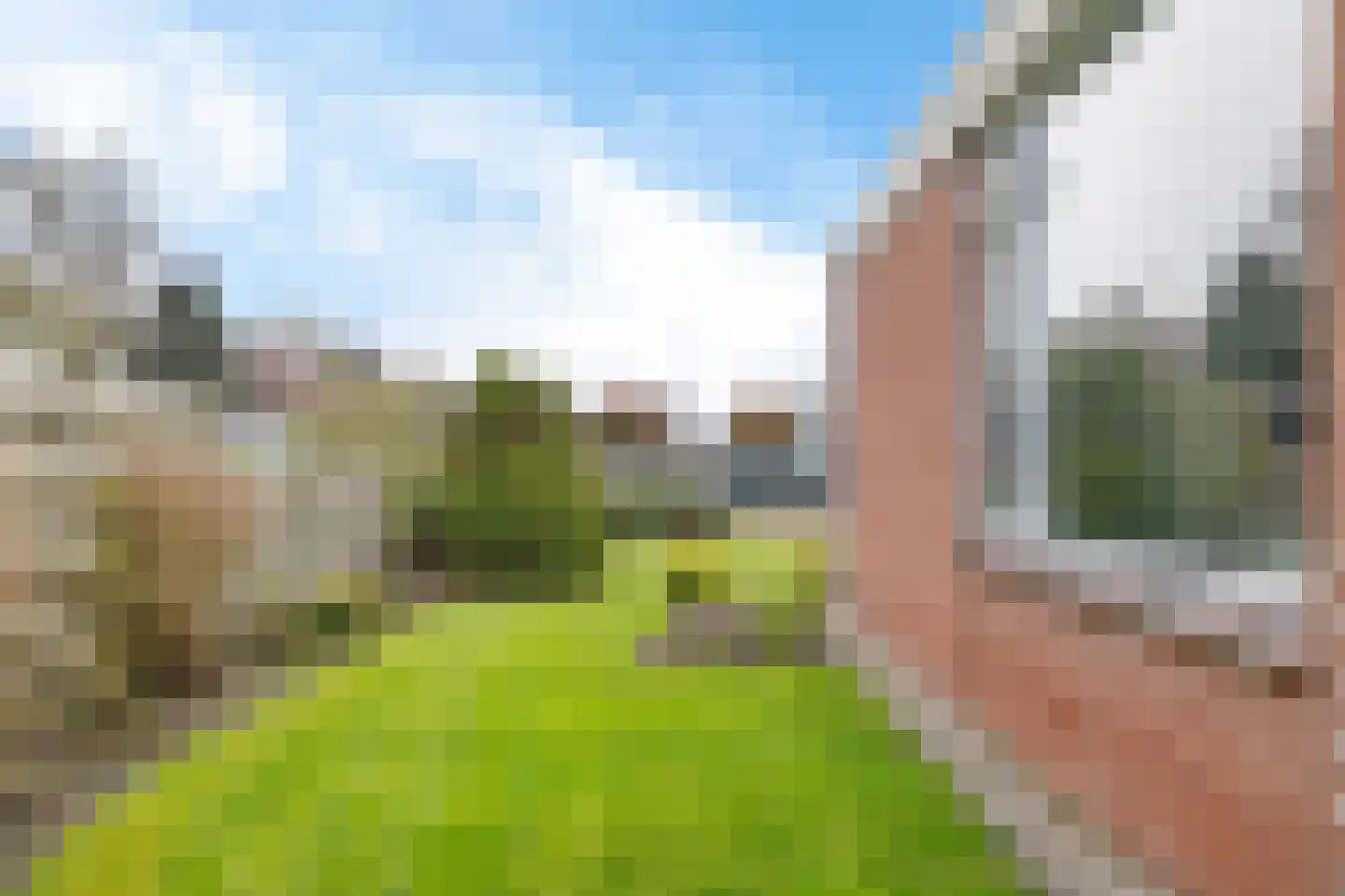 Kalffstraat 45 Erica thumbnail 39