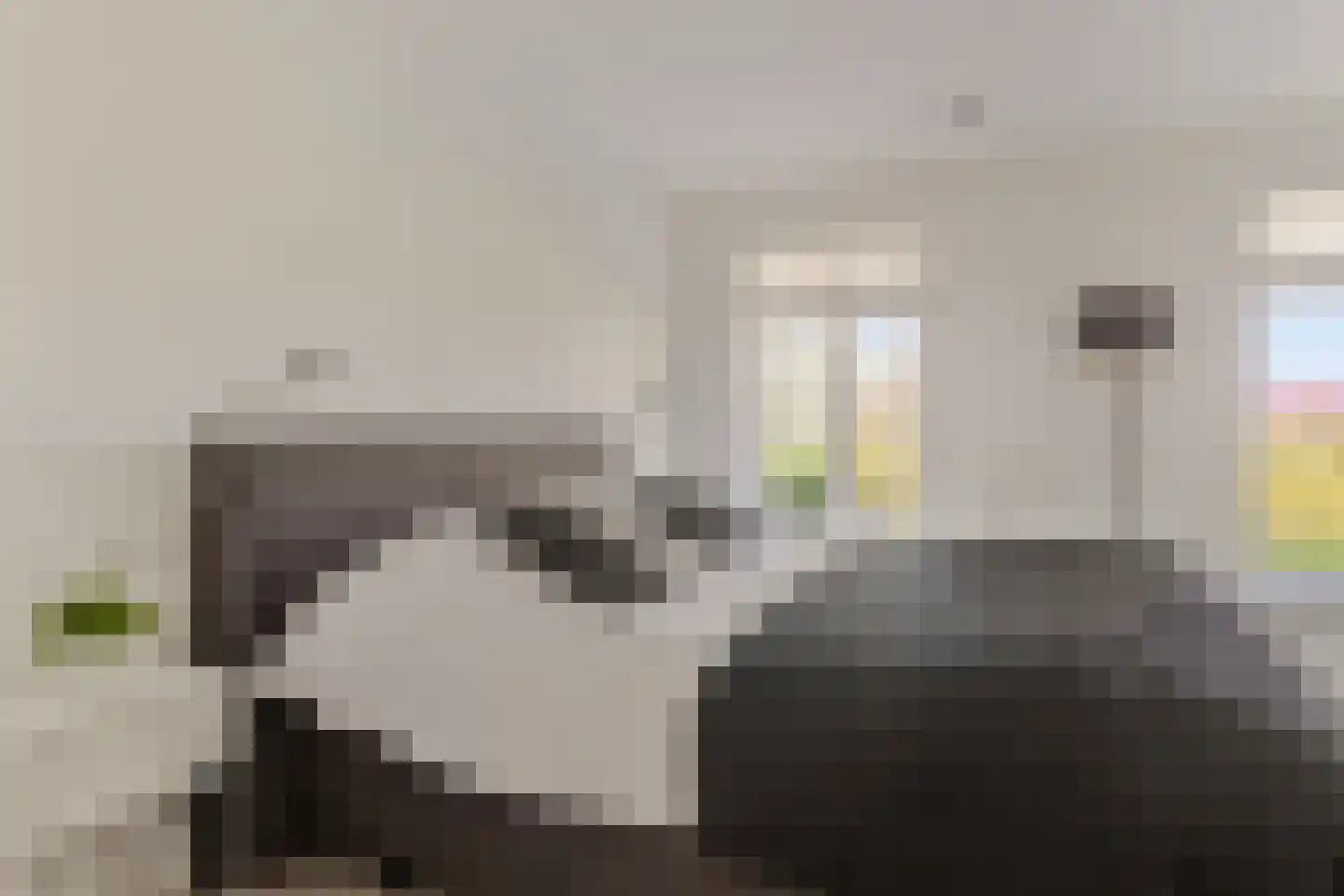 Kalkboei 6 Sluis thumbnail 10