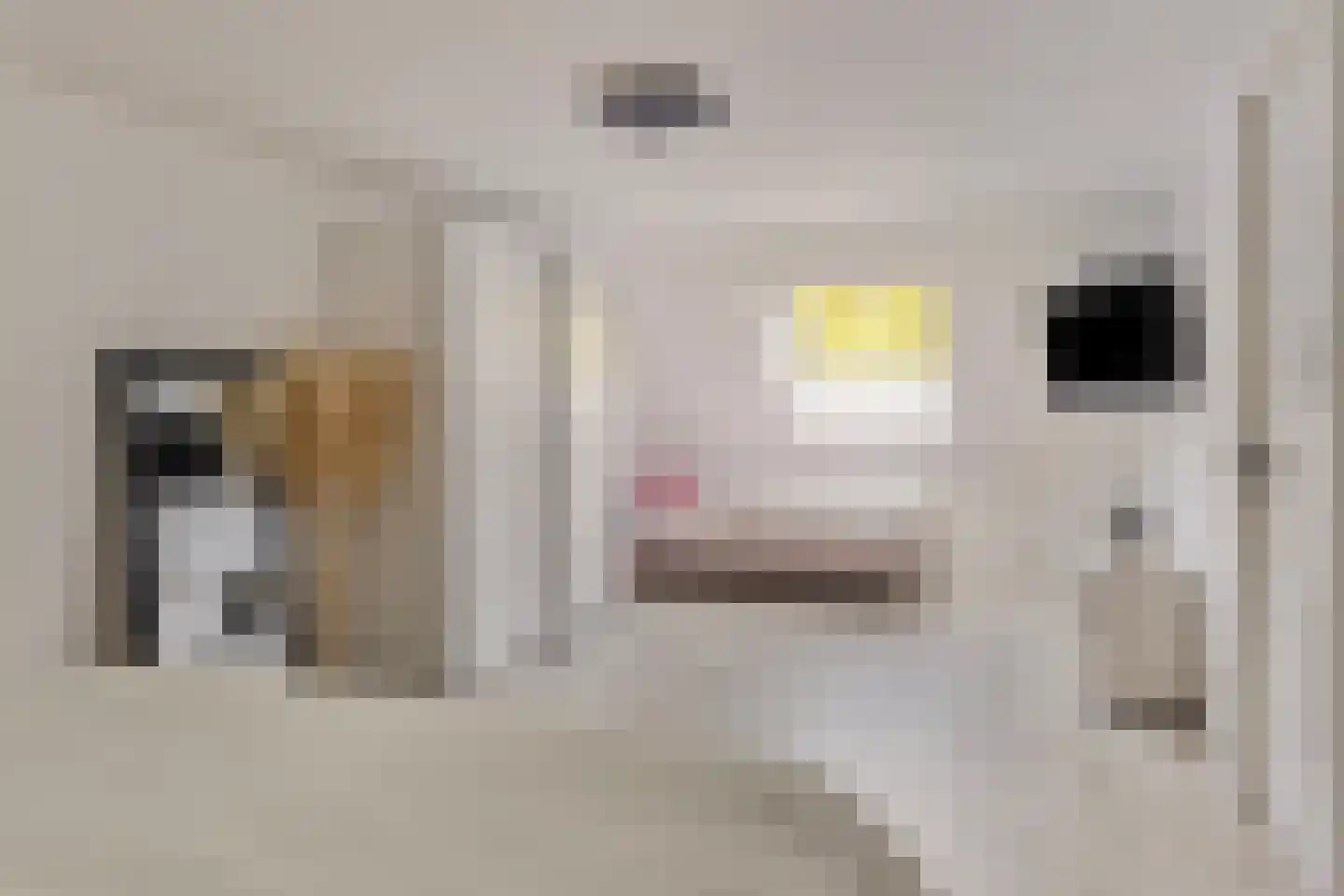 Kalkboei 6 Sluis thumbnail 23