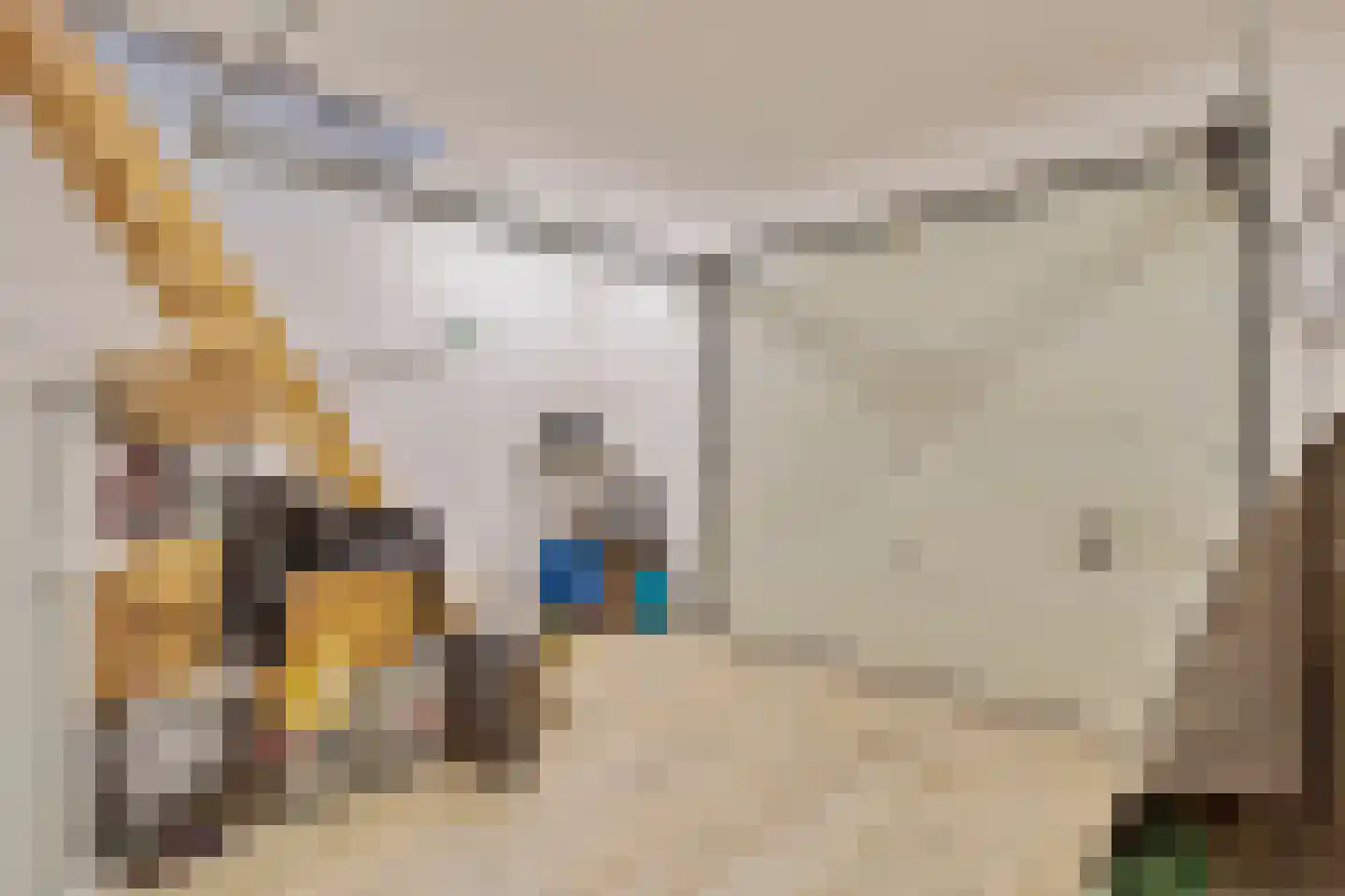 Kalkboei 6 Sluis thumbnail 30