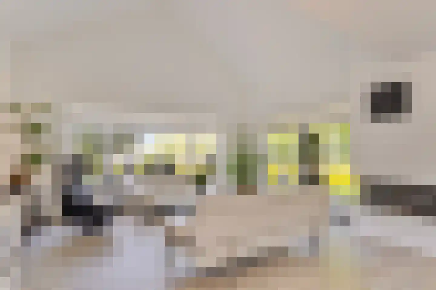 Kalkboei 6 Sluis thumbnail 4
