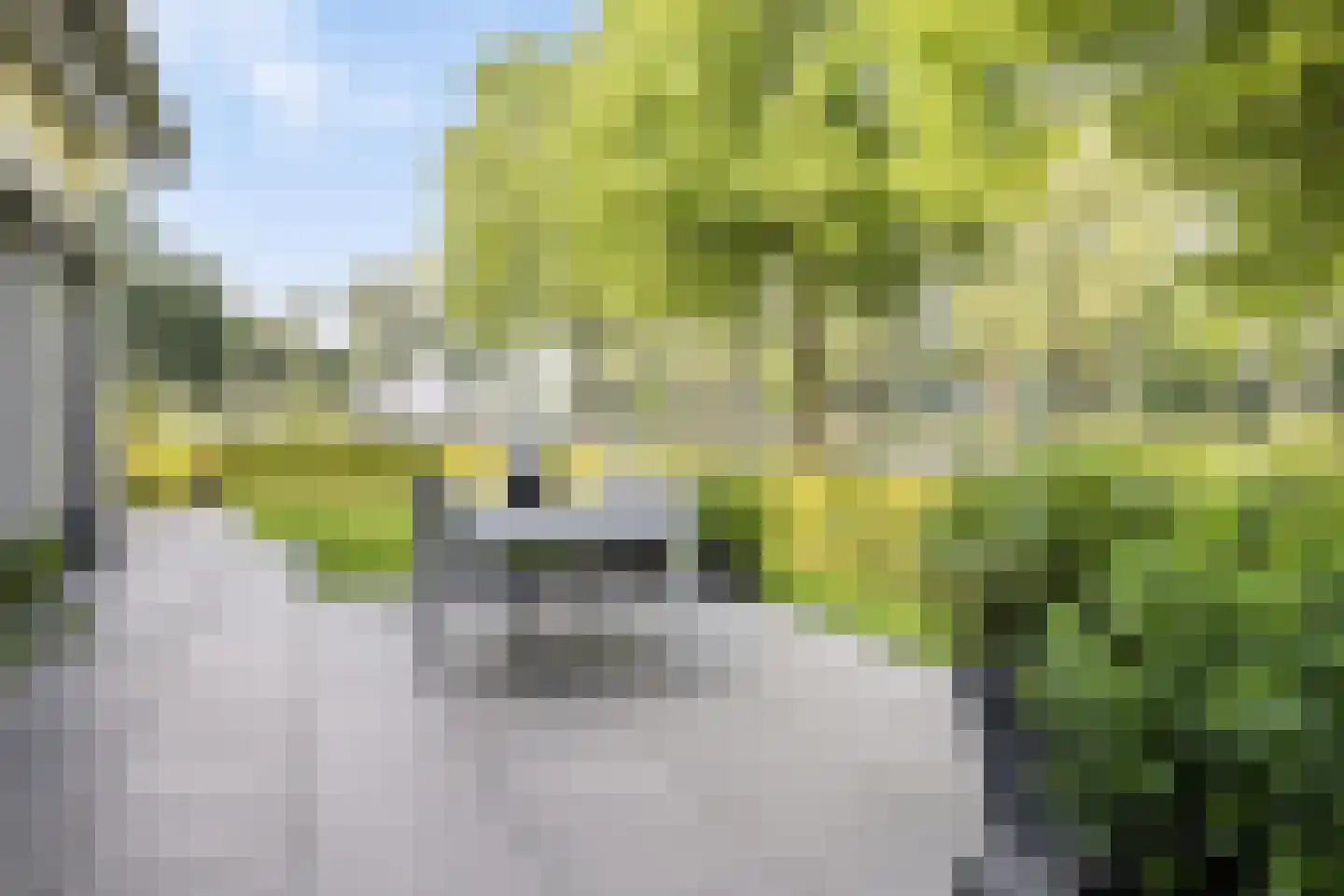 Kalkboei 6 Sluis thumbnail 9