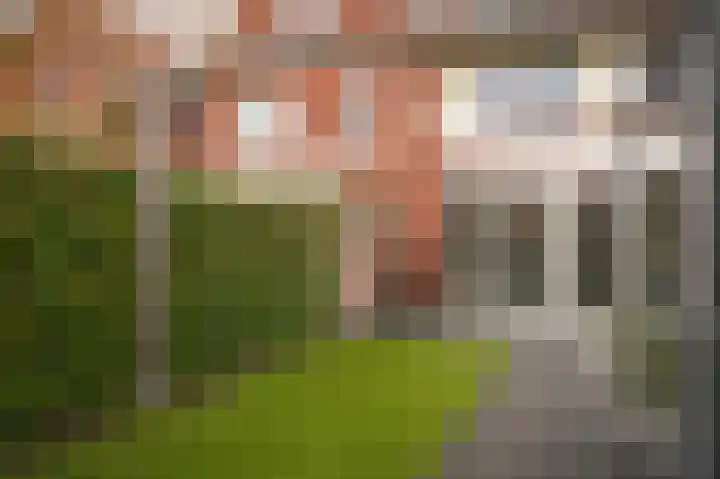 Kalkhovensingel 30 Culemborg thumbnail 28