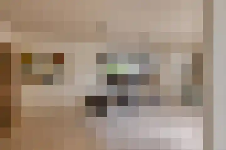 Kalkovens 5 Muiden thumbnail 13