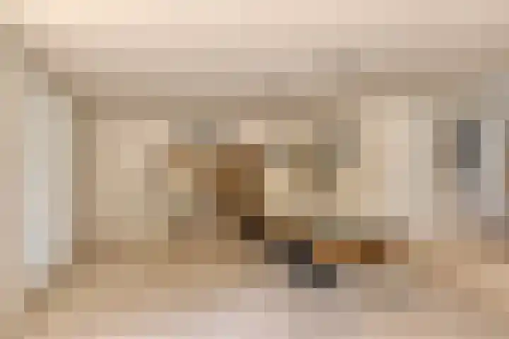 Kalkovens 5 Muiden thumbnail 15