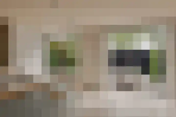 Kalkovens 5 Muiden thumbnail 19