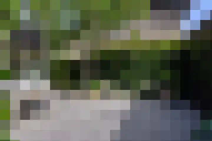 Kalkovens 5 Muiden thumbnail 21
