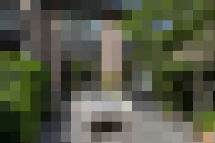 Kalkovens 5 Muiden thumbnail 22