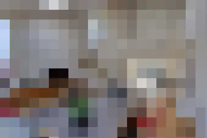 Kalkovens 5 Muiden thumbnail 25