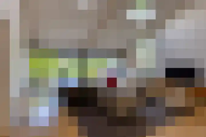 Kalkovens 5 Muiden thumbnail 26