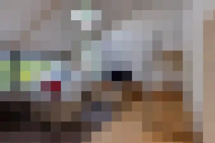 Kalkovens 5 Muiden thumbnail 27