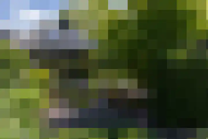 Kalkovens 5 Muiden thumbnail 35