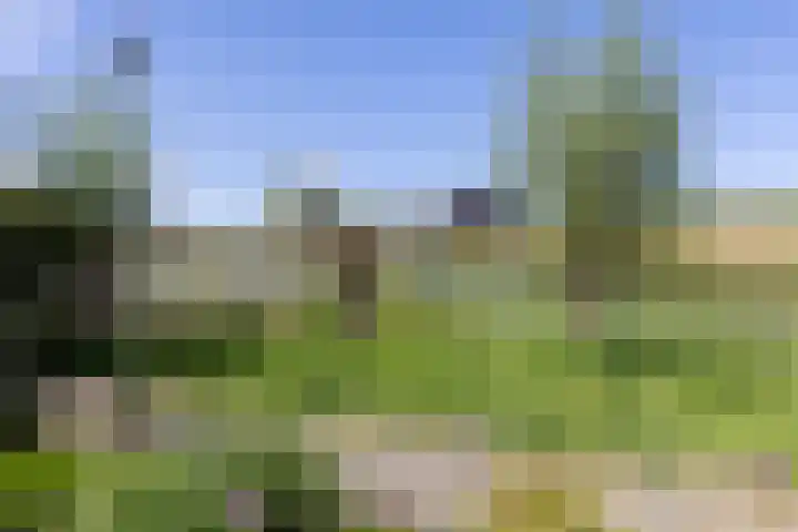 Kalkovens 5 Muiden thumbnail 36