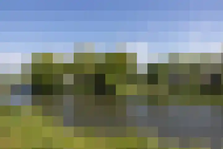 Kalkovens 5 Muiden thumbnail 51