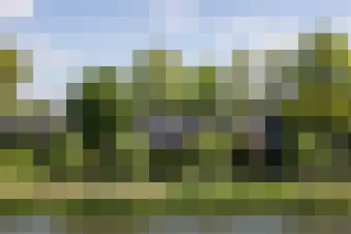Kalkovens 5 Muiden thumbnail 52