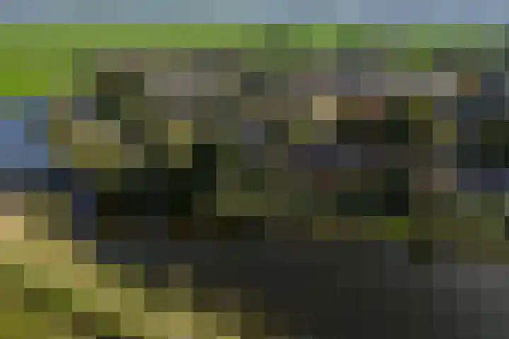 Kalkovens 5 Muiden thumbnail 6