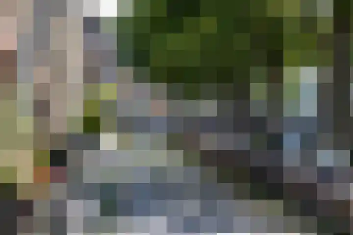Kalkovens 5 Muiden thumbnail 63