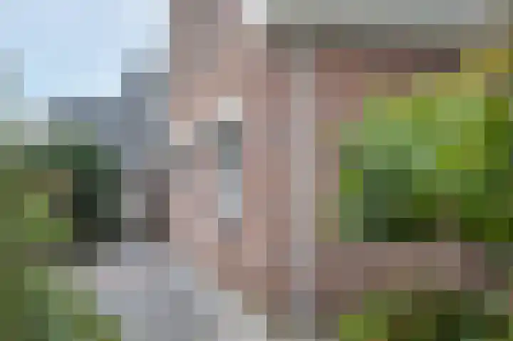 Kalkwark 1 Emmer-Compascuum thumbnail 36