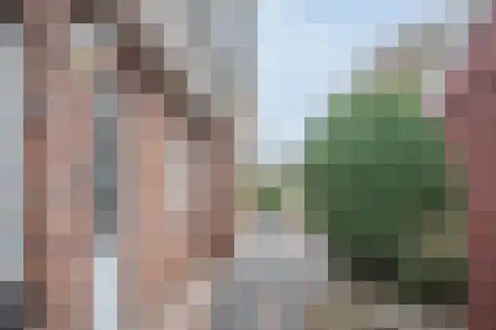 Kalkwark 1 Emmer-Compascuum thumbnail 37