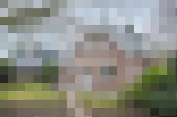 Kalkwark 1 Emmer-Compascuum thumbnail 39
