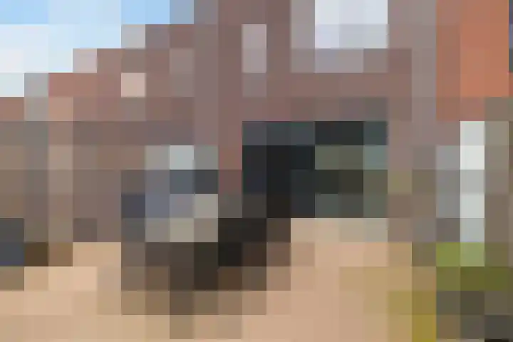 Kallameer 34 Woerden thumbnail 22