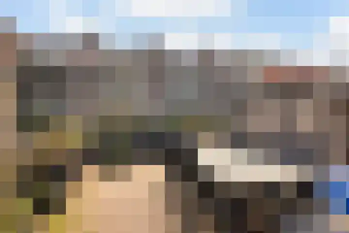 Kallameer 34 Woerden thumbnail 24