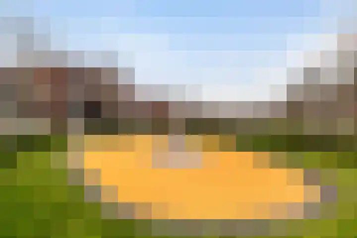 Kallameer 34 Woerden thumbnail 42