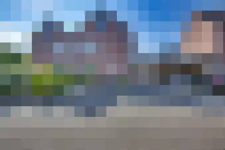 Kalmoes 18 in Nieuwleusen