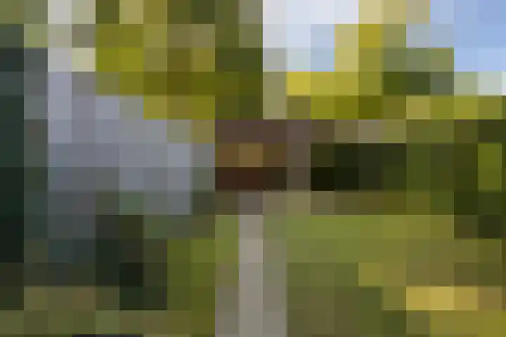 Kalmoes 2 Leeuwarden thumbnail 19