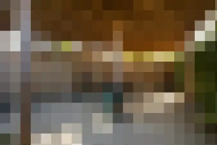 Kalmoes 2 Leeuwarden thumbnail 20