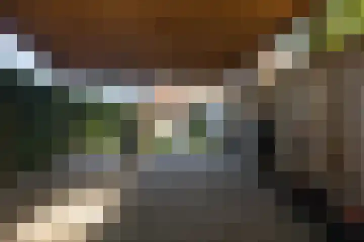 Kalmoes 2 Leeuwarden thumbnail 21