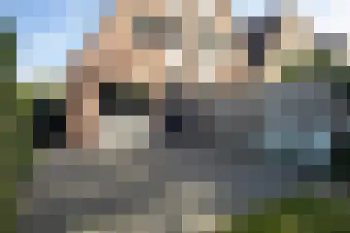 Kalmoes 2 Leeuwarden thumbnail 23