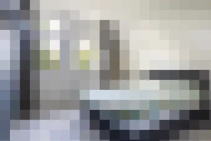 Kalmoes 2 Leeuwarden thumbnail 28