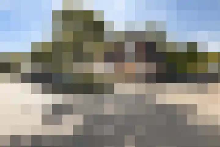 Kalmoes 2 Leeuwarden thumbnail 6