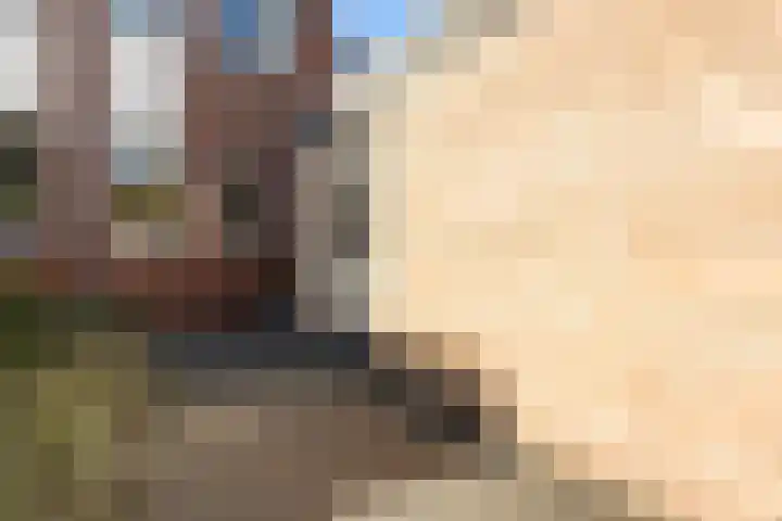 Kalmoes 2 Leeuwarden thumbnail 8