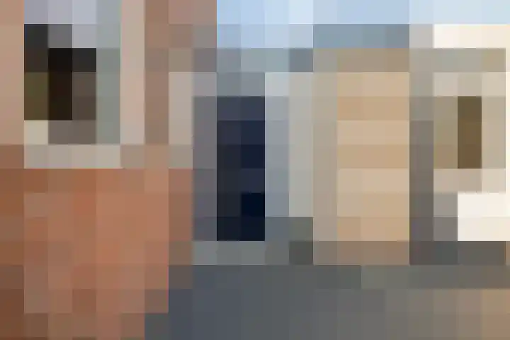 Kalmoes 2 Leeuwarden thumbnail 9