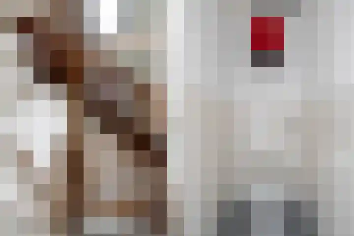 Kalmoes 3 Buitenpost thumbnail 24