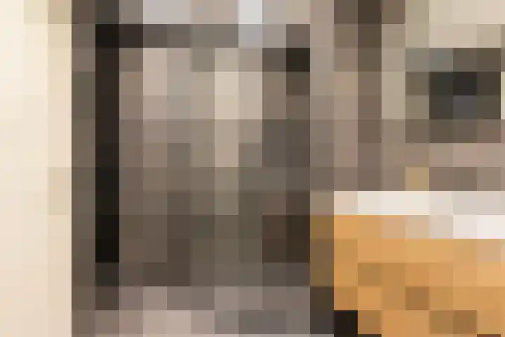 Kalmoes 3 Buitenpost thumbnail 35