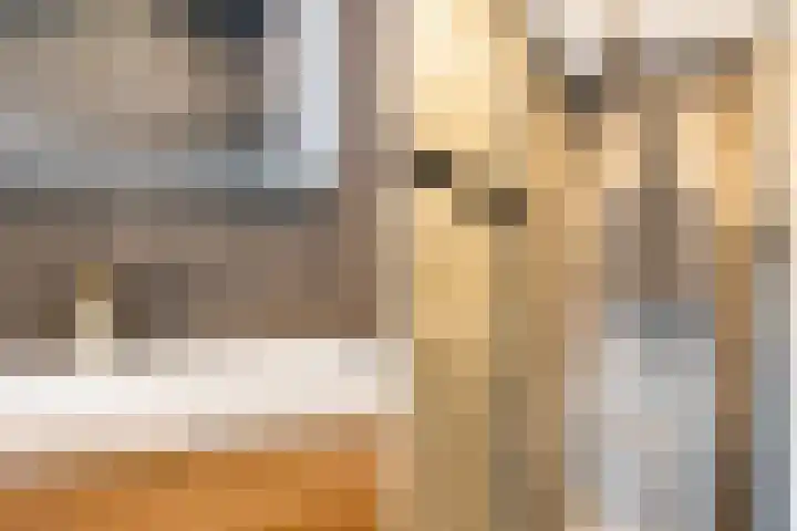 Kalmoes 3 Buitenpost thumbnail 36