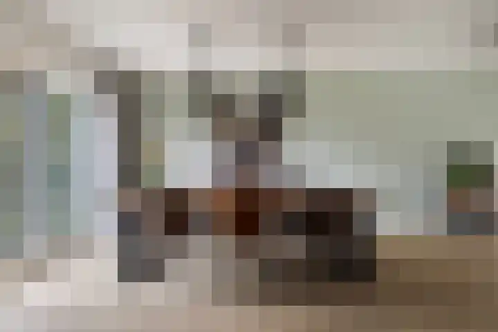Kalmoes 3 Buitenpost thumbnail 8