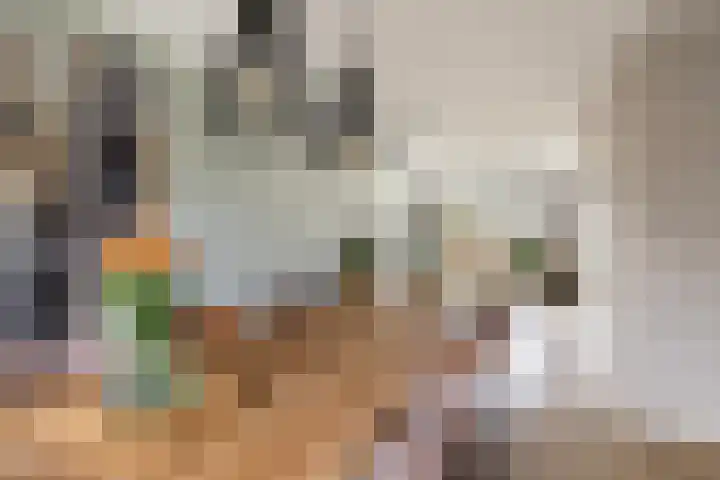Kalmoes 3 Buitenpost thumbnail 9