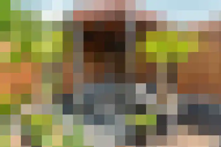 Kalmoespad 5 Almere thumbnail 38