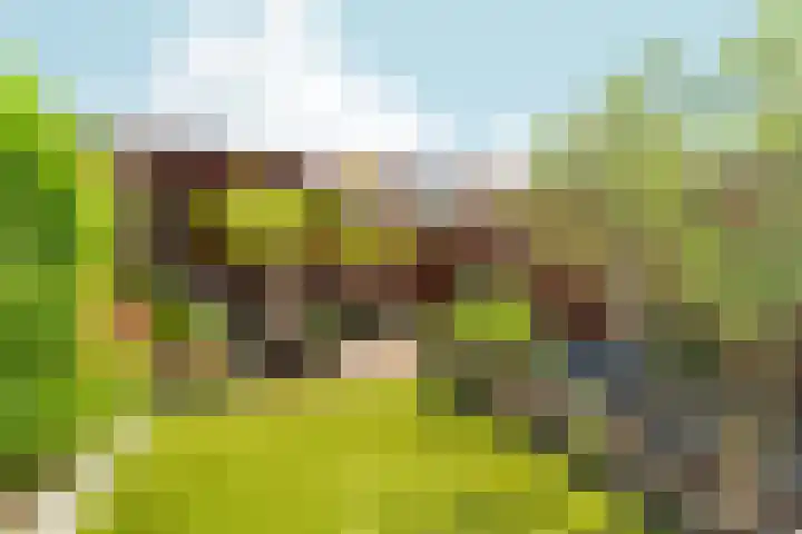 Kalmoespad 5 Almere thumbnail 39