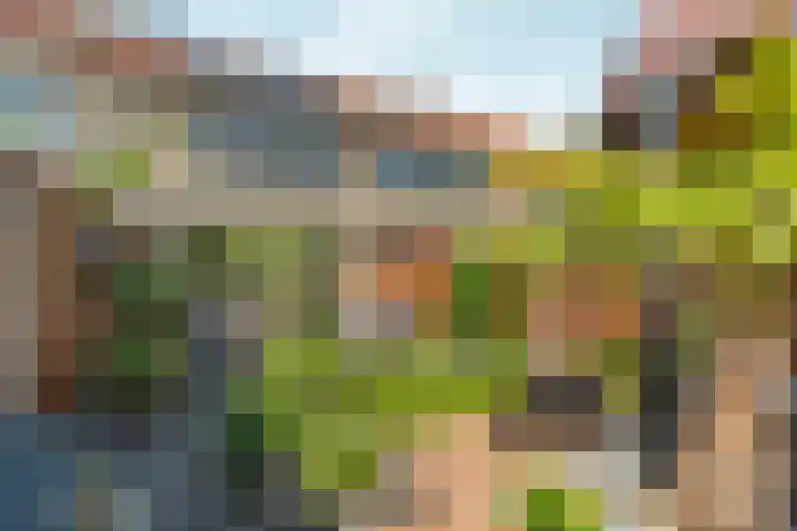 Kalmoespad 5 Almere thumbnail 4