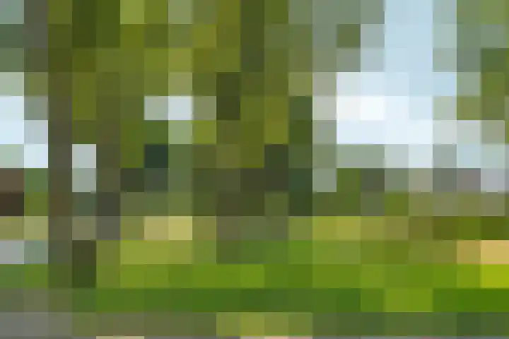 Kalmoespad 5 Almere thumbnail 42