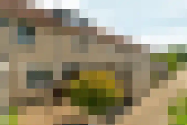 Kalmoespad 5 Almere thumbnail 43