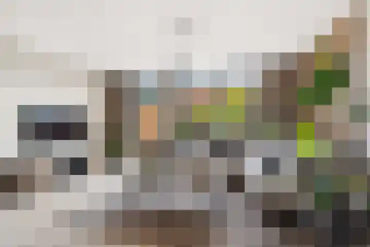 Kalmoespad 5 Almere thumbnail 45