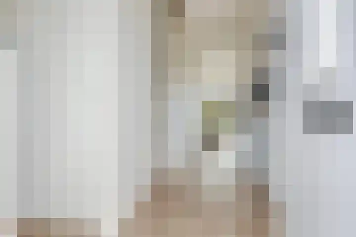 Kalorama 128 Hoofddorp thumbnail 13